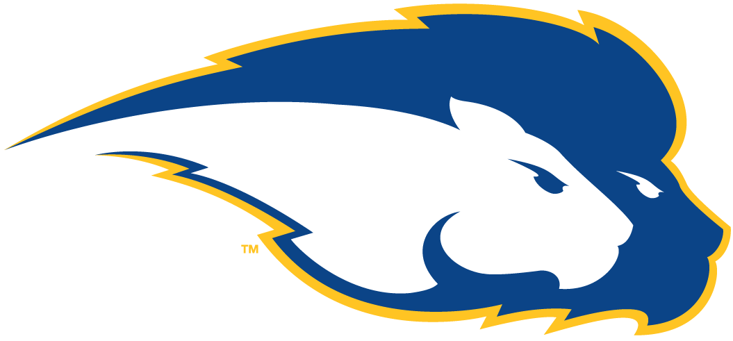 Hofstra Pride 2005-Pres Secondary Logo iron on transfers for T-shirts